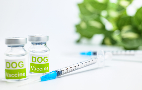 お渡しまでの流れ